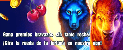 Multiplica tu suerte aquí